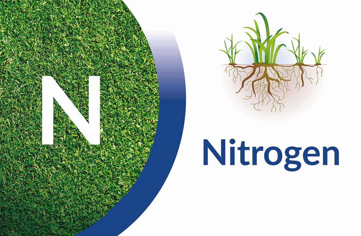 Nitrogen Overview